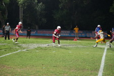 Enlarge photo 1110