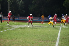 Enlarge photo 1111