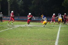 Enlarge photo 1113