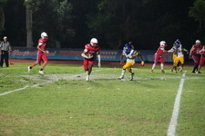 Enlarge photo 1114