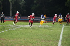 Enlarge photo 1115