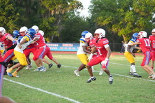 Enlarge photo 1137