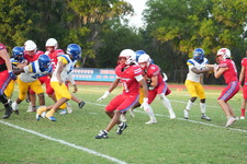 Enlarge photo 1139