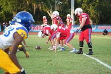 Enlarge photo 1148