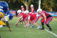 Enlarge photo 1164