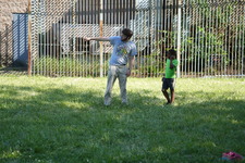 Enlarge photo 277