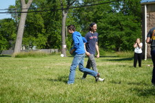 Enlarge photo 290