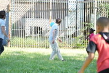 Enlarge photo 315