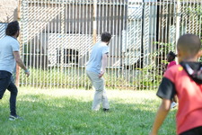 Enlarge photo 316