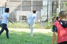 Enlarge photo 317