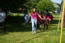Enlarge photo 380