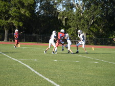 Enlarge photo 91