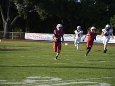 Enlarge photo 590
