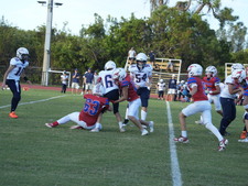 Enlarge photo 184