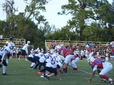 Enlarge photo 195