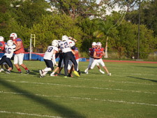 Enlarge photo 260