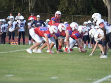 Enlarge photo 339
