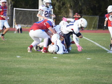 Enlarge photo 416