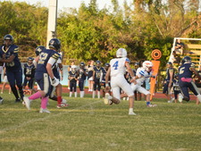 Enlarge photo 41