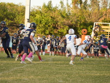 Enlarge photo 43