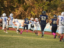Enlarge photo 46