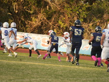 Enlarge photo 47