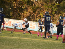 Enlarge photo 49