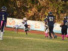 Enlarge photo 51