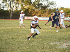 Enlarge photo 57