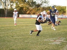 Enlarge photo 59
