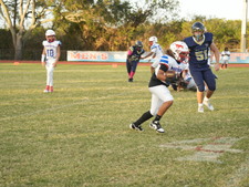 Enlarge photo 60
