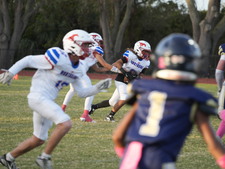 Enlarge photo 88
