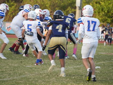 Enlarge photo 95
