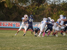 Enlarge photo 143