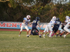 Enlarge photo 145