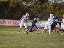 Enlarge photo 146