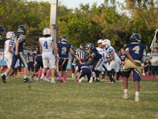 Enlarge photo 149