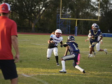 Enlarge photo 202