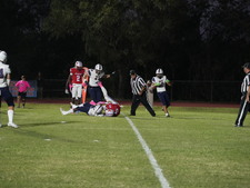 Enlarge photo 31