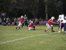 Enlarge photo 59