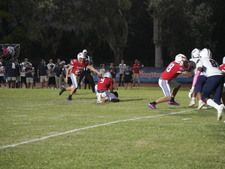 Enlarge photo 61