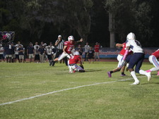 Enlarge photo 63