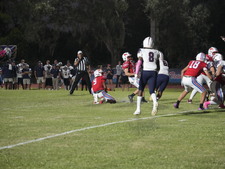 Enlarge photo 67