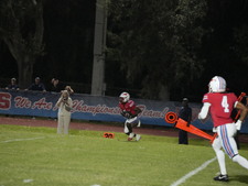 Enlarge photo 210