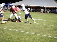Enlarge photo 483