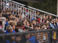 Enlarge photo 95