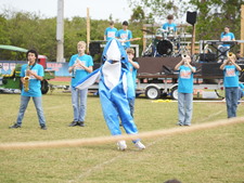 Enlarge photo 983