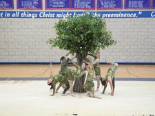 Enlarge photo 10