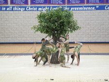 Enlarge photo 14