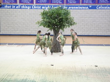 Enlarge photo 19